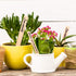 Whaline 50Pcs Wooden Plant Labels with Marker Pen, Eco-Friendly Garden Markers for Seed Potted Herbs