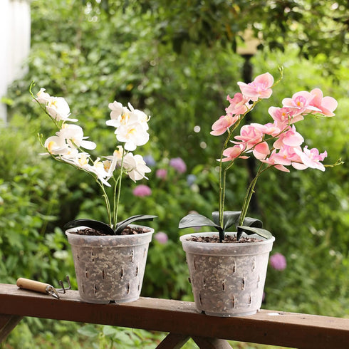 YIKUSH 7 Inch Clear Plastic Orchid Pots, 5 Pack with Holes for Indoor and Outdoor Plant Use