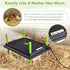 12 16 Inch 30W 40 Tetuga Chick Heating Plate - x Chicken Heater Plate for Chicks with Adjustable Height & Angle - Safer
