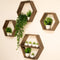 Large Hexagon Floating Shelves Set of 4 Honeycomb Shelf, Crystal Display Shelf,