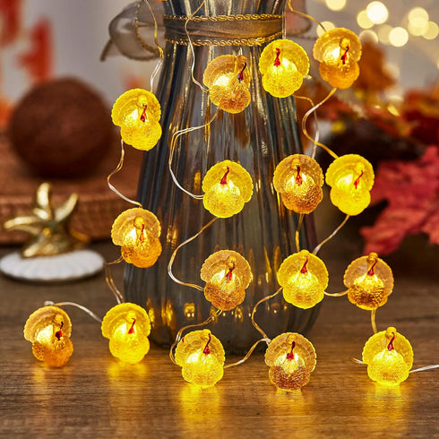 3D 8ft 20 JASHIKA Fall Harvest Turkey String Lights, Cute Decorative Lights Copper Wire LEDs Battery Powered