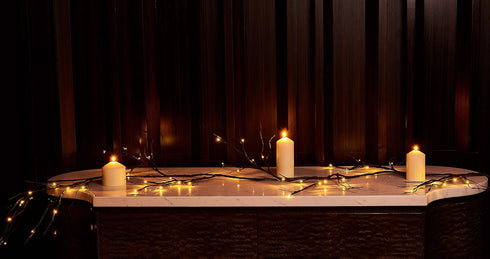 Hairui 6FT Mossy Garland Lights, 48 LED Battery Operated Twig Vine with Timer for Halloween Christmas Party Decoration