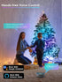 66FT 200 Dimmable 4th Brizled Smart Fairy Lights, LED St. Patrick's Day Green String Lights WiFi Smart App & Voice