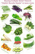 HipGirl 500 Amaranth Seeds for Planting.Chinese Spinach Seeds for Planting(). Non GMO Seed