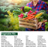 14,500+ 33 Vegetable & Fruit Seeds - Heirloom Varieties for a Bountiful Garden - Grow Tomatoes, Lettuce, Beans, More