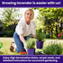 7500 90% (5 Pack) NatureZ Edge English Lavender Seeds for Planting Outdoors or Indoors, Germination, to Give You The