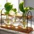 Wellinc Bulbs, Plant Terrarium with Wooden Stand, The Ultimate Gift for Plant Lovers, Propagation Station with Retro