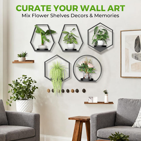 Wall Planters for Indoor Plants, Plant Frames Wall Decor Living Room Plant Stand Hanging Wall Plants Holder to Hold
