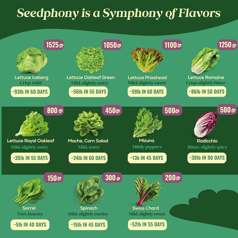 23 Pack 25,000+ Lettuce & Salad Greens Seeds Variety - Non-GMO Heirloom Greens Seeds for Planting Lettuce Indoor