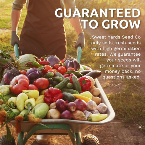 Pack 25 Packs 2026 Organic Lettuce & Greens Seed Variety - Individual - Season - Lacinato Kale, Roquette Arugula, Red