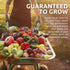 Pack 16 Packs 2026 Organic Herb Seeds Variety - Individual - Season - Basil, Cilantro, Dill, Thyme, Parsley and More!