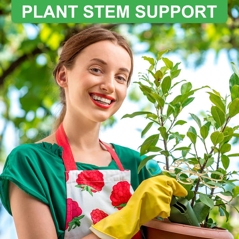 Mewcooss 6pcs Set Plant Stem Support, Iron Monstera Plants Support, Plant Stem Holder Support Unique Design Bamboo