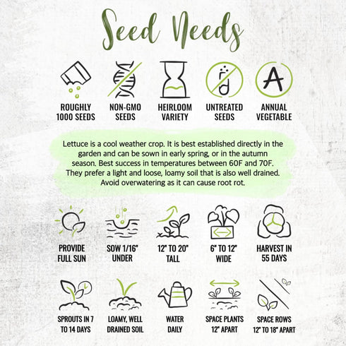 Pack 2 Packets Seed Needs Romaine Lettuce Seeds Variety for Planting a Collection of Individual Varieties - Include Red