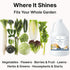 SymbionixEco (1 Liquid Seaweed Fertilizer for Plants with Soil Activator, Fermented Organic Liquid Kelp Fertilizer