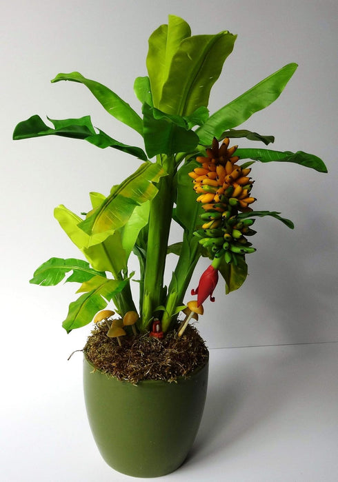 SeedsUA Seeds Indoor Ornamental Banana Tree Fruits for Planting Beatuful Flowers Non GMO