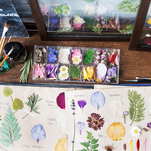Nuanchu 223 Pcs Real Dried Pressed Flowers for Crafts, Natural Dried Leaves and Butterfly Stickers Set for DIY Resin