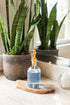 Rail19 Small Clear Glass Mouthwash Dispenser with Metal Pour Spout, 8oz, Perfect for Bathroom, Kitchen, and Tabletop