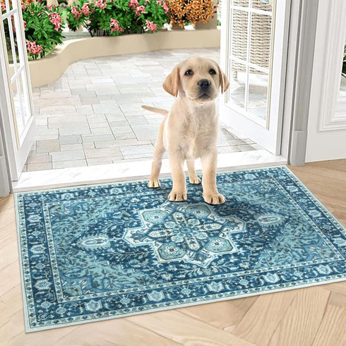 Collive Retro Indoor Door Mat, Non-Slip Washable Large Size Doormat, Low-Pile Front Door Rug for Entryway 32" x 48"