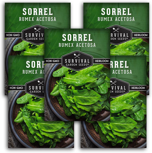 Sorrel Seeds for Planting - Large Leaf Garden Sorrel - Cool Weather