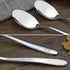 12-Piece Stainless Steel Dessert Spoons, Small Spoon