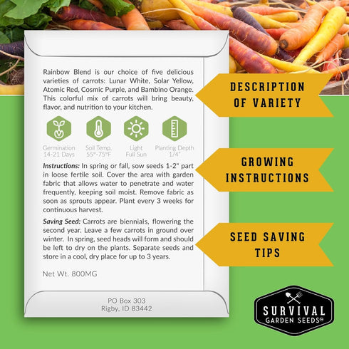 8 Packs Pack Fall & Winter Vegetable Seed Collection of Non-GMO Heirloom Seeds for Planting Vegetables | Autumn