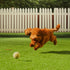 4 6 1.38" VEVOR Artifical Grass Turf, x ft Thick Grass Rug Indoor Outdoor, Realistic Synthetic Grass Mat with Drainage