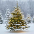 QBIS Outdoor Christmas Lights - Fairy Lights Battery Operated with Small Warm