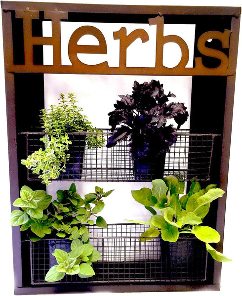 CTW Home Collection Country Industrial Metal Herbs Wall Shelf Planter Holder Kitchen Garden Herb Organizer