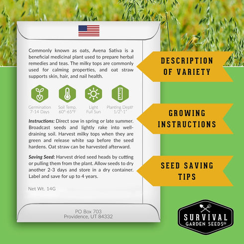 (2 Packs) Oat Seeds for Planting Heirloom Avena Sativa Milky Oats Medicinal Herb & Oatstraw for Tea, Tinctures