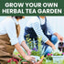 15 Packs 2026 Herbal Tea Garden Seeds | Individual | Season | Non-GMO | Chamomile, Mint, Lavender, Holy Basil & More! |