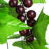 Meiliy 8FT Artificial Greenery Chain Grapes - Fake Vines Leaves Foliage for Home Room Garden Wedding Decor