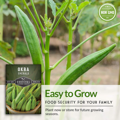 Packet 3 Pack Survival Garden Seeds - Emerald Okra Seed for Planting - with Instructions to Plant and Grow Tender