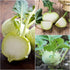 5 Packs (2,500 Seed Needs Kohlrabi Seeds for Planting Purple Vienna Kohlrabi Crops - Non-GMO Heirloom & Untreated
