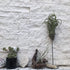 6 Packs 3 AHANDMAKER Airplant Planter Holder, Sizes Air Plant Container Tillandsia Holder for Displaying Small Air