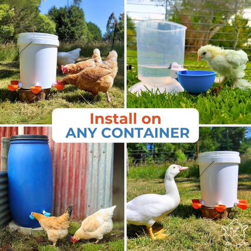 5-Pack) Lil'Clucker Large Automatic Chicken Waterer Cups | Chicken Water Feeder Suitable for Chicks, Duck, Goose