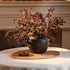 Thiccywoov 6 (16 Inch) Pcs Plum Faux Berry Stems Artificial Dusty Sedum Berry Stems Picks Branches Faux Spray for DIY