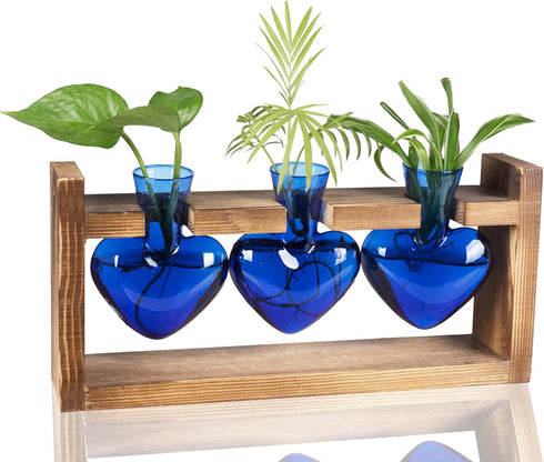 Kingbuy 3-Heart Plant Terrarium Kit with Vintage Wood Stand - Stained Glass