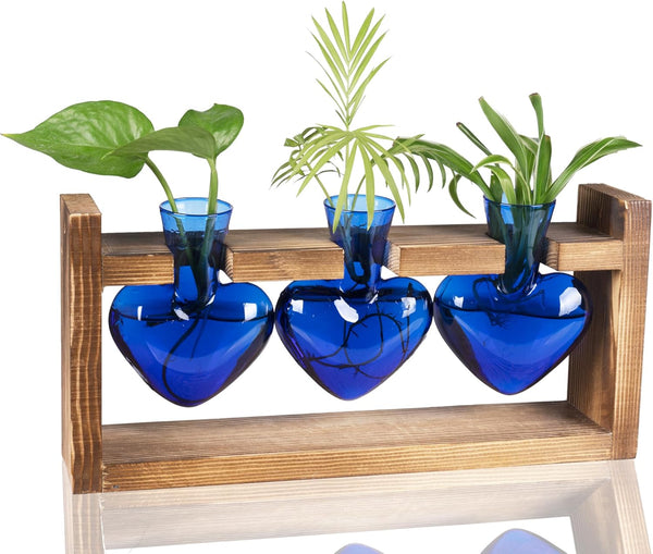 Kingbuy 3-Heart Plant Terrarium Kit with Vintage Wood Stand - Stained Glass