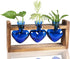 Kingbuy 3-Heart Plant Terrarium Kit with Vintage Wood Stand - Stained Glass