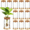 Baderke 12 Packs Propagation Vases for Plants Plastic Plant Propagation with Hole