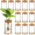 Baderke 12 Packs Propagation Vases for Plants Plastic Plant Propagation with Hole
