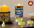 Olive Oil Tea Light Candles - 40 Pack - Clear Cup Unscented Travel Decorative Candle
