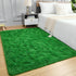 3x5 AROGAN Luxury Soft Shaggy Carpet, Feet Green Fluffy Bedroom Rug for Living Room, Kids Girls Playroom Teen Room