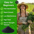 The Lucky Stars 3000+ USA Premium Egyptian Spinach Seeds (Molokhia), Non-GMO Seeds, Fast-Growing, Low Maintainance