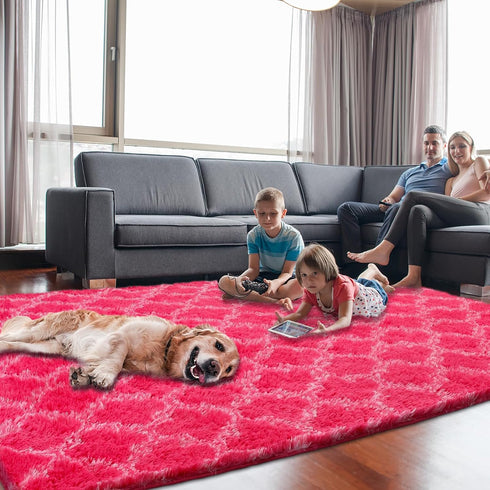Plush Area Rug 4x6 Feet, High Pile Ultra Soft Indoor Carpet for Living Room, Bedroom, Kids Room, Playroom Decor, Hot