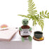 caiyjhao Crochet Interesting Mini Turtle, Inspirational Crochet Turtle, with Emotional Support Card, Lovely Wool