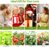 12 Pods Hydroponics Growing System Indoor Herb Garden with LED Growth Lamp Smart Water Pump Plant Germination Kit (No