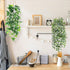 2Pcs Der Rose Fake Plants Artificial Potted Faux Hanging Ivy Vines Plants Indoor for Home Bathroom Shelf Wall Bookshelf