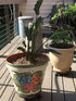 13 Inch 2 Pack Plant Caddy with Wheels, Heavy Duty Round Plant Dolly Tray, Rolling Plant Stand for Indoor Outdoor Use