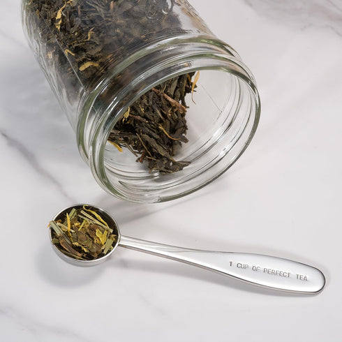 Loose Leaf Tea Spoon Measure, Stainless Steel Scoop for One Cup of Perfect Tea